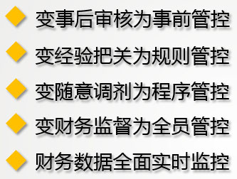 元内控平台实施达到的整体效果